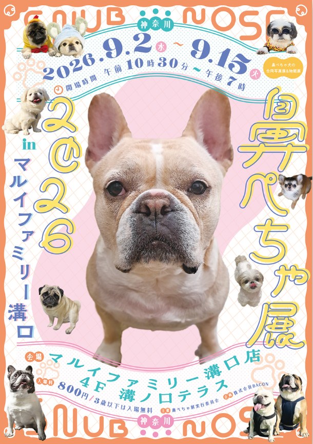鼻ぺちゃ展2026 in マルイファミリー溝口のポスター