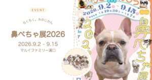 ちくちく。糸のじかん 鼻ぺちゃ展2026 in マルイファミリー溝口