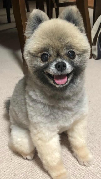 Rioくんのお写真