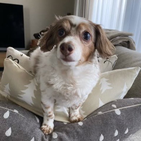 BEBEさんのお写真